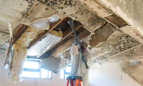 Best Mold Prevention Services  in Hot Springs, SD